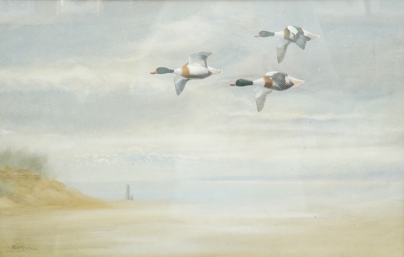 Philip Rickman (1891-1982), Ducks in flight, signed, watercolour, 33 x 52cm